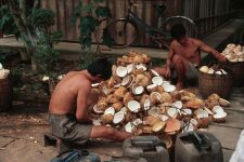 Coconut factory